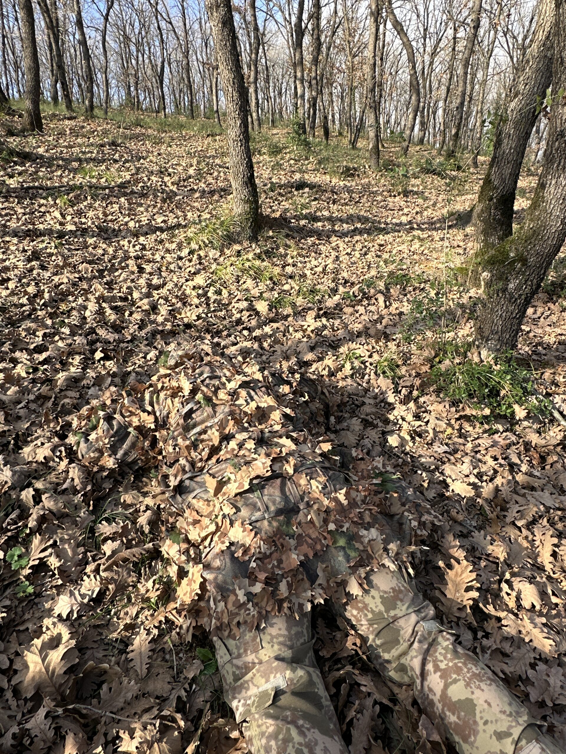 DJI_20231227_151333_914